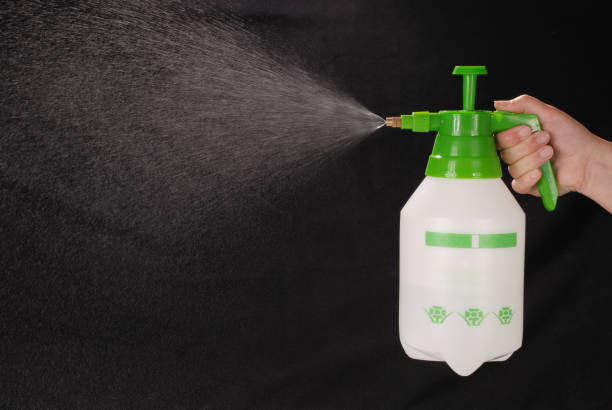 istock Pressure sprayer bottle in hand 1062959630