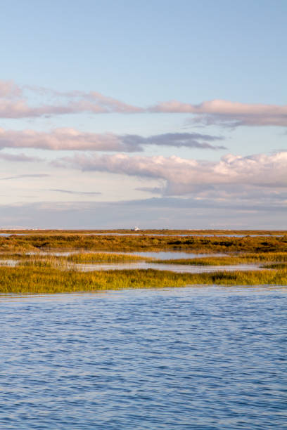 istock natural Ria Formosa marshlands 1062960692