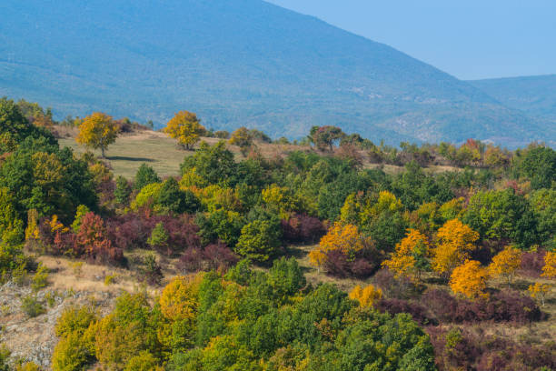 istock Mountain landscape woods,hills, clouds and sky, Serbia 1062964624