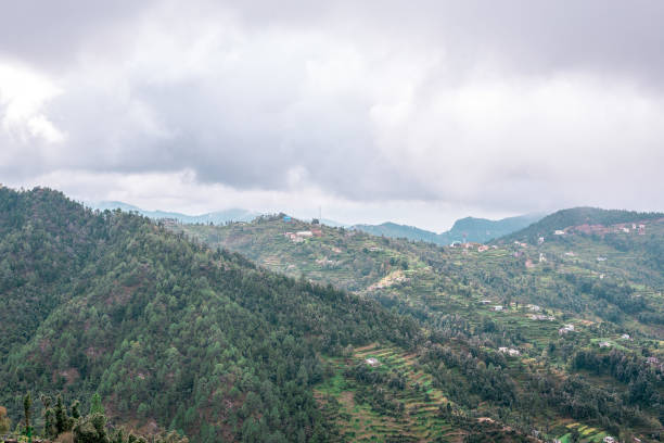 istock Stepping Farms in Uttrakhand 1062964958