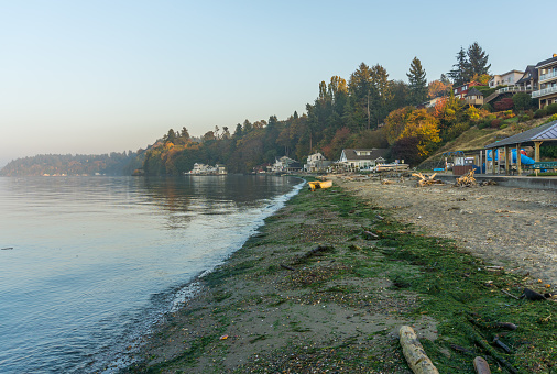A view of the shoreline in autumn at Dash Point, Washington.