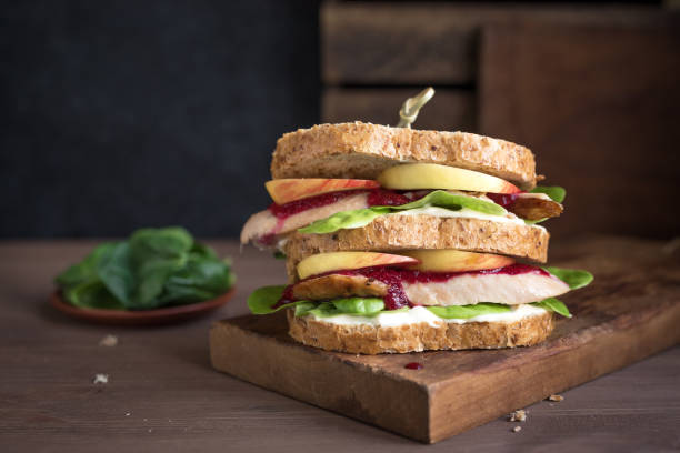 kanapka z resztkami indyka - sandwich turkey cranberry cheese zdjęcia i obrazy z banku zdjęć