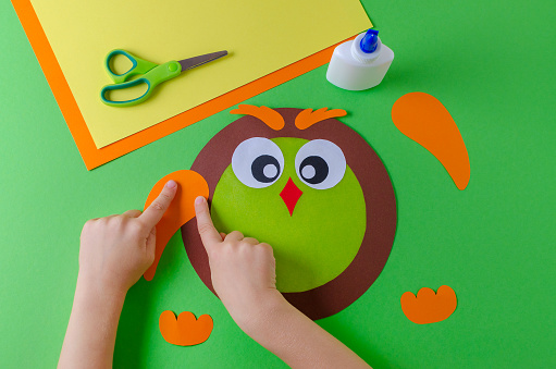kid is making a owl with color paper, glue and scissors, on green background