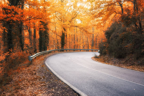 istock A winding road curves through autumn trees in New England 1062987490