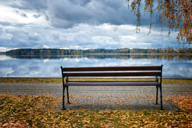 istock lonely bench among the leaves 2 1062991898