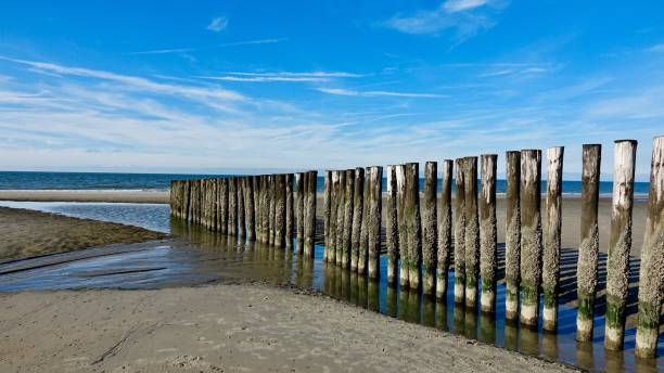 istock Wooden wave breaker at a beach 1062992478