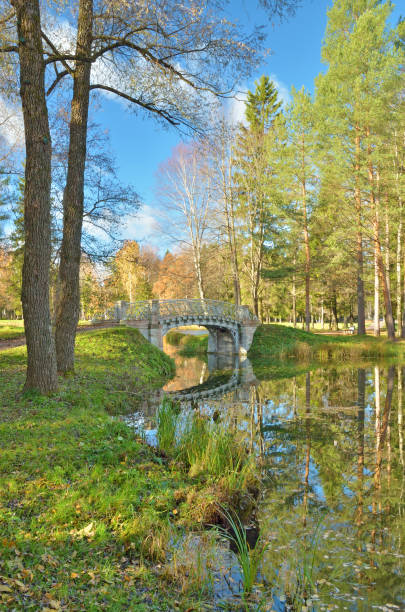 istock Autumn landscape in the Park. 1062997408