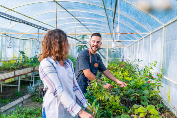 istock Gardeners discussing at plant nursery 1062997838