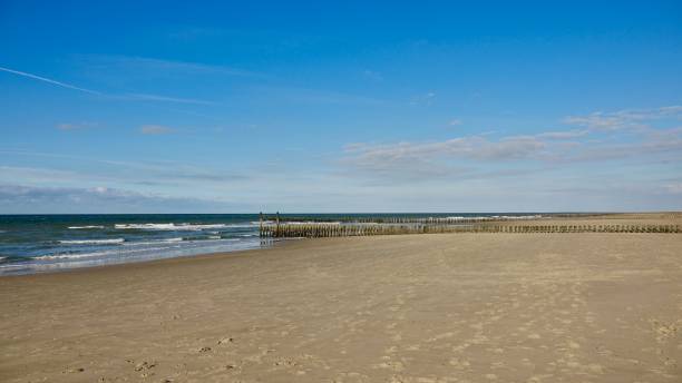 istock Wooden wave breaker at a beach 1062999478