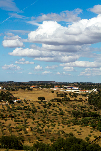 View of a typical Alentejo dry landscape located in Portugal.