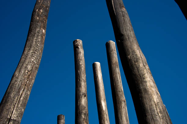 istock group of wooden poles 1063009480