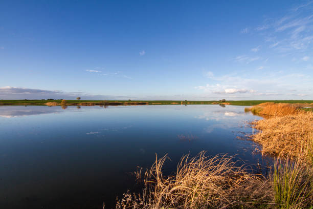 istock spring countryside lake landscape 1063009578