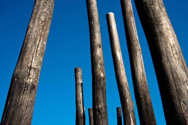 istock group of wooden poles 1063009768