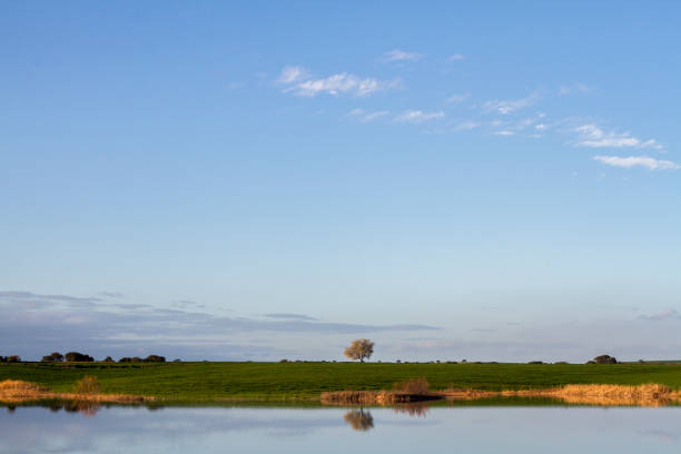Beautiful view of a spring countryside lake landscape on the Alentejo region, Portugal.
