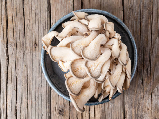 comestible seta seta de ostra en la vieja mesa de madera rústica, vista superior - edible mushroom plants raw food nature fotografías e imágenes de stock