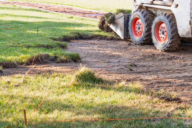 istock Small Bulldozer Removing Grass From Yard Preparing For Pool Installation 1063017562