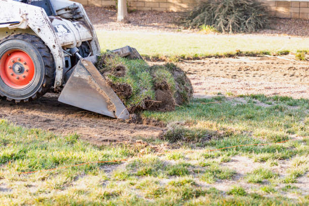 istock Small Bulldozer Removing Grass From Yard Preparing For Pool Installation 1063017584
