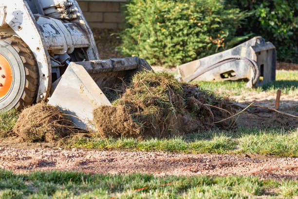 istock Small Bulldozer Removing Grass From Yard Preparing For Pool Installation 1063017596