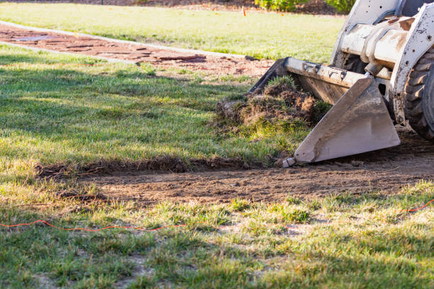 Small Bulldozer Removing Grass From Yard Preparing For Pool Installation stock photo