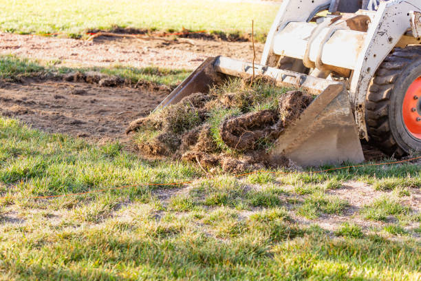 istock Small Bulldozer Removing Grass From Yard Preparing For Pool Installation 1063017744