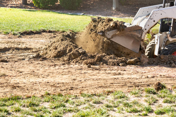 istock Small Bulldozer Digging In Yard For Pool Installation 1063017960