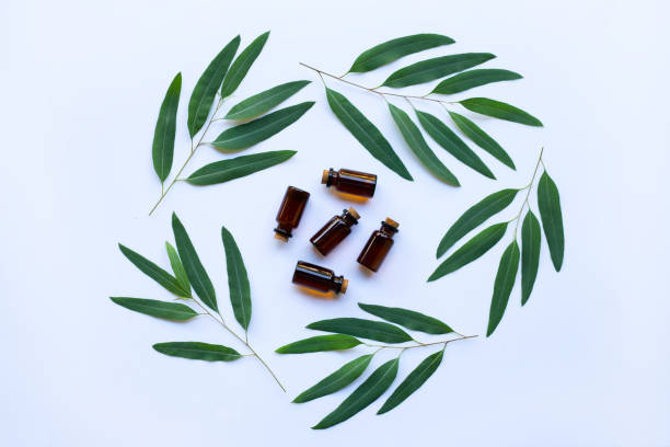 istock Eucalyptus oil bottle with  leaves on white background. 1063019870