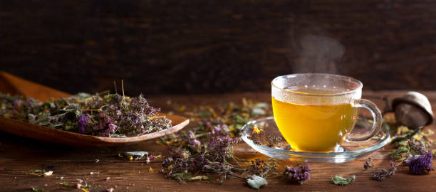Cup of herbal tea with various herbs