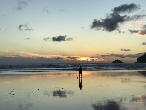 istock Sunset with person and reflection on a beach 1063032184