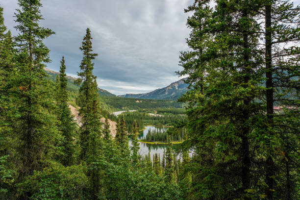 istock Horseshoe lake view in Denali national park 1063032234