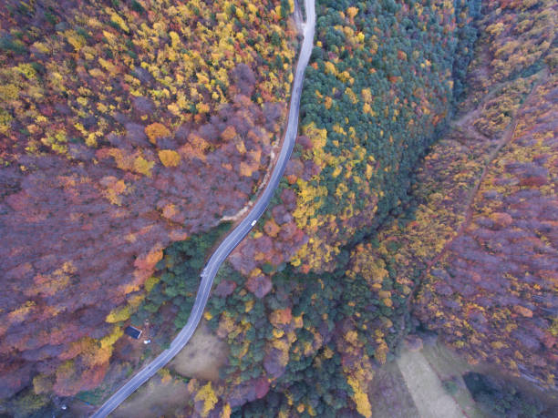 istock Road through autumnal forest - aerial view 1063032588