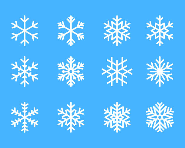 stockillustraties, clipart, cartoons en iconen met sneeuwvlok winter set van blauwe geïsoleerde pictogram silhouet op witte achtergrond vectorillustratie - sneeuw illustraties