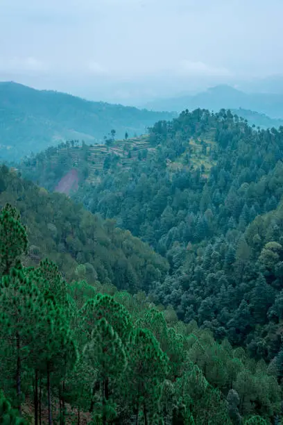 Photo of Stepping Fields - Landscape of Uttrakhand Near Bhimtal / Nainital