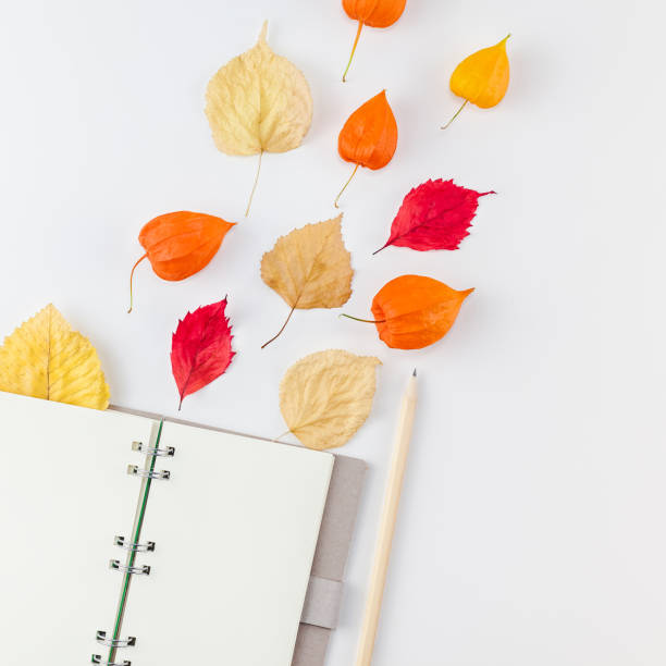 istock Notebook with flying dried flowers and leaves 1063041876