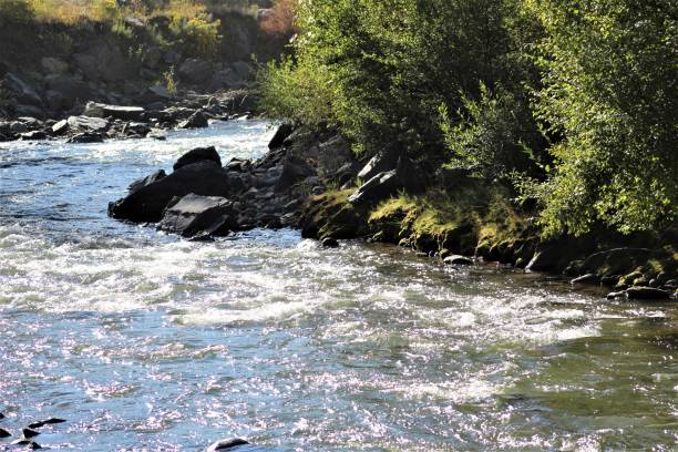 istock The Far Side of the Creek 1063051362