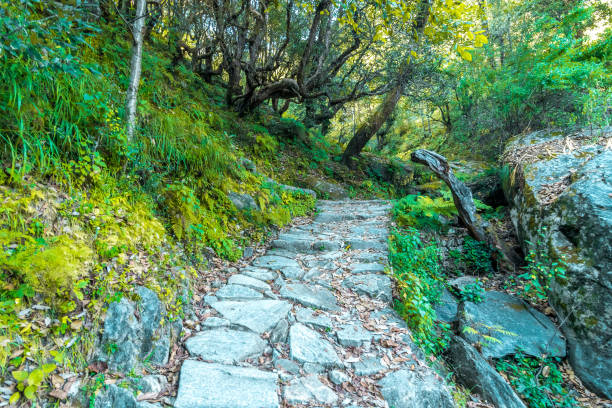 istock Deoria Tal Trek in Uttrakhand 1063056074