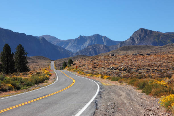 istock American road through the desert 1063056220