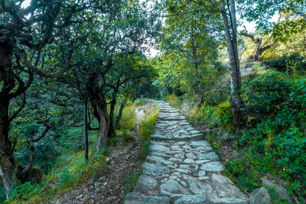 istock Deoria Tal Trek in Uttrakhand 1063056456
