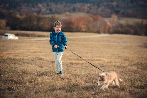A Boy and His Puppy Friend stock photo