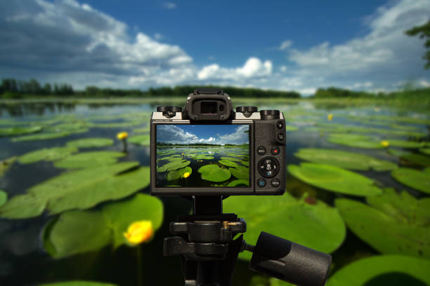 digital camera isolated