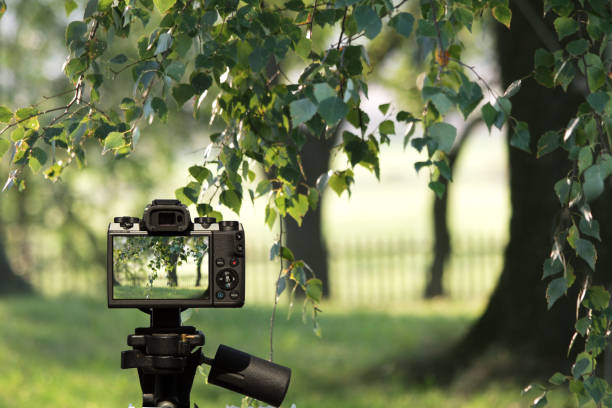 istock camera and large trees in the garden 1063058228