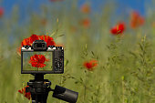 kamera-und-roten-mohn-blumen-2.jpg?b=1&s=170x170&k=20&c=bor0-BxY74232chj19NnQHakIbzUHTwrRSzAiEO2G7Y=