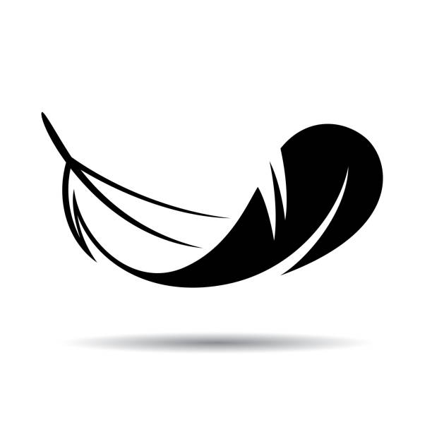 Feather vector icon in a flat style. Simple icon feather as element for design Icon feather isolated on a white background lightweight stock illustrations