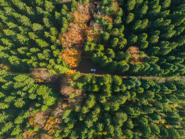 istock Aerial view of an Autumn scene 1063058532