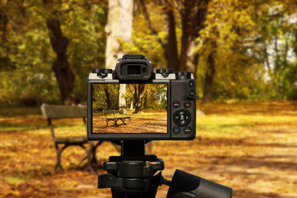 Camera and bench with cast iron legs standing in the autumn, a park lit by warm autumn sun