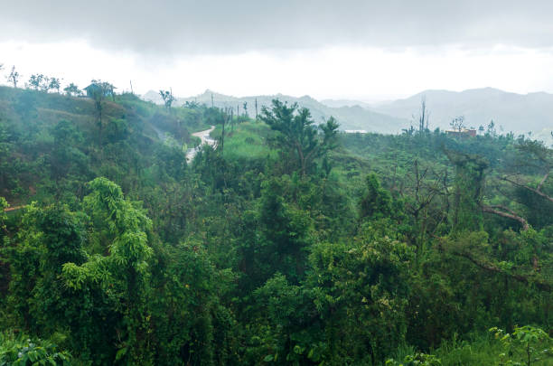 istock Mountains and Cloud Forest of Jayuya 1063058892