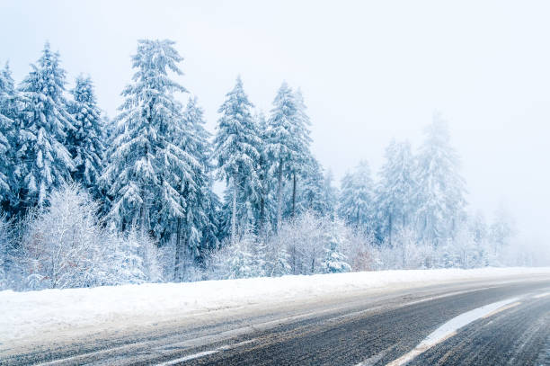 istock Magical winter landscape: road and snow covered trees 1063067982