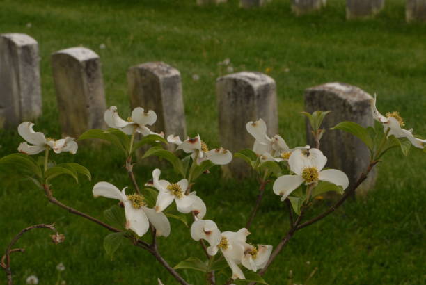 istock Antietam, Battlefield Maryland 1063070518
