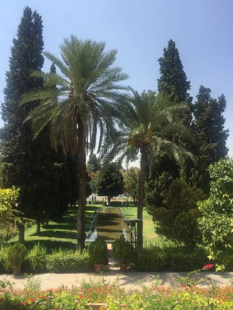 istock shiraz city iran 1063073458