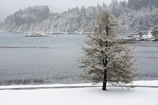 Snowy landscape in Bariloche, Patagonia, Argentina