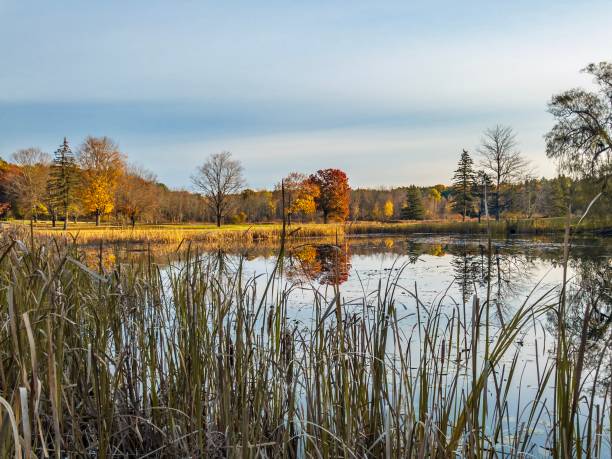 istock Beautiful Maine Morning 1063083956